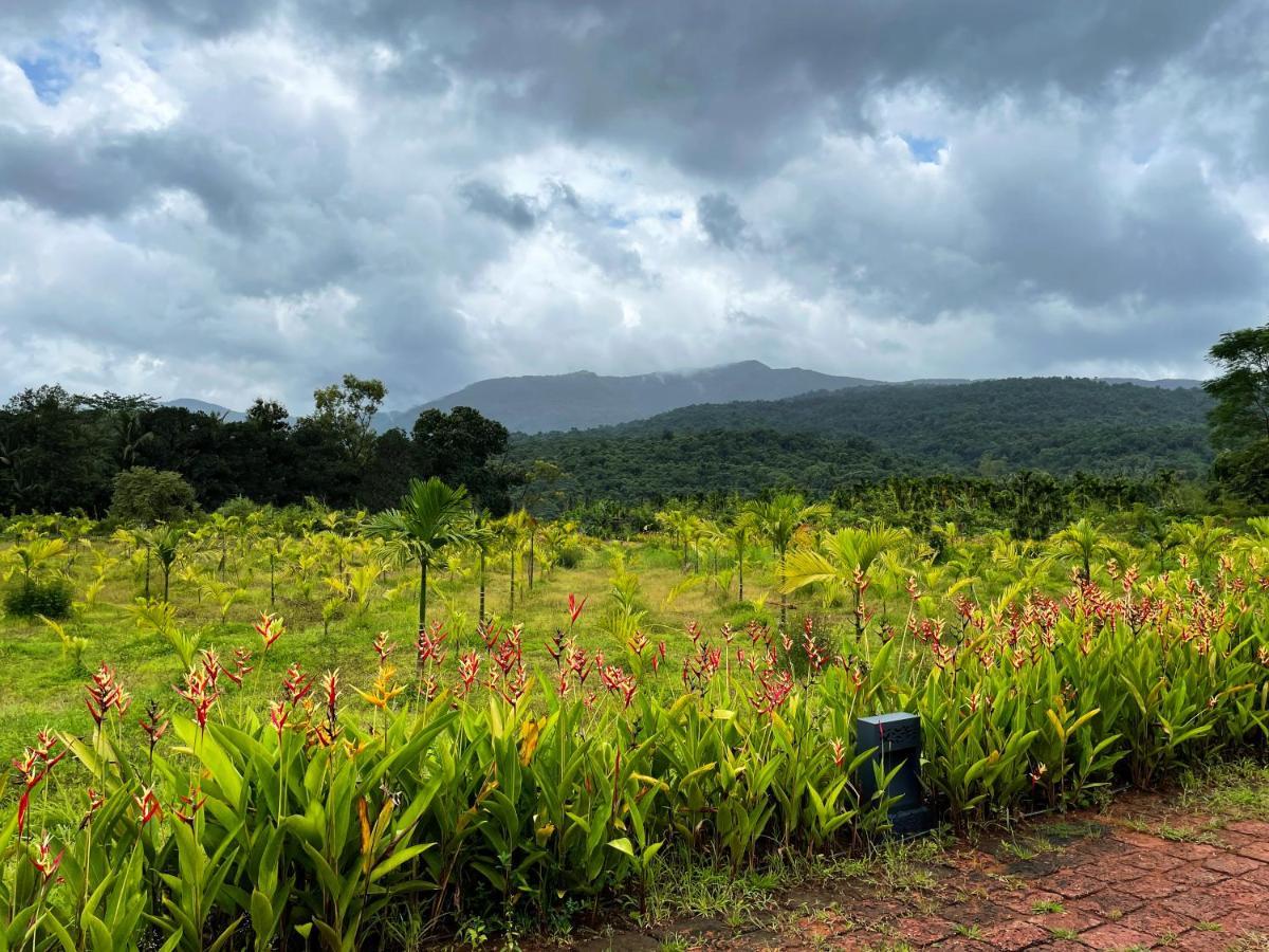 The Postcard Hideaway, Netravali Wildlife Sanctuary, Goa Hotell Vichondrem Eksteriør bilde