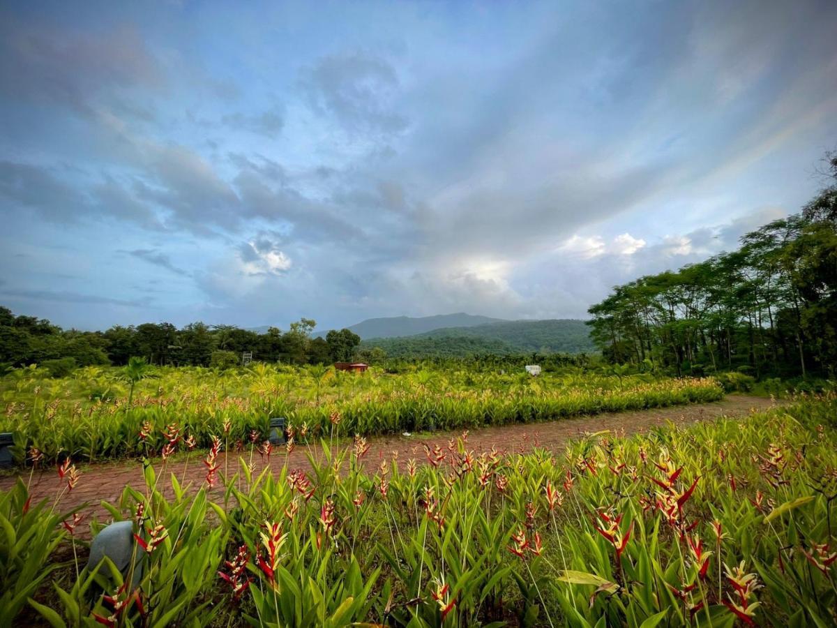 The Postcard Hideaway, Netravali Wildlife Sanctuary, Goa Hotell Vichondrem Eksteriør bilde