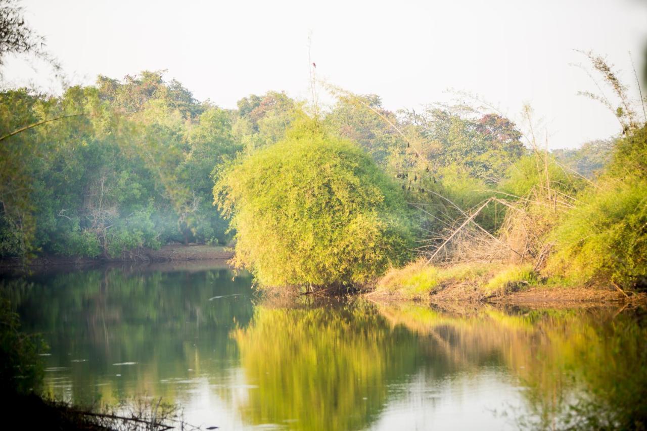 The Postcard Hideaway, Netravali Wildlife Sanctuary, Goa Hotell Vichondrem Eksteriør bilde