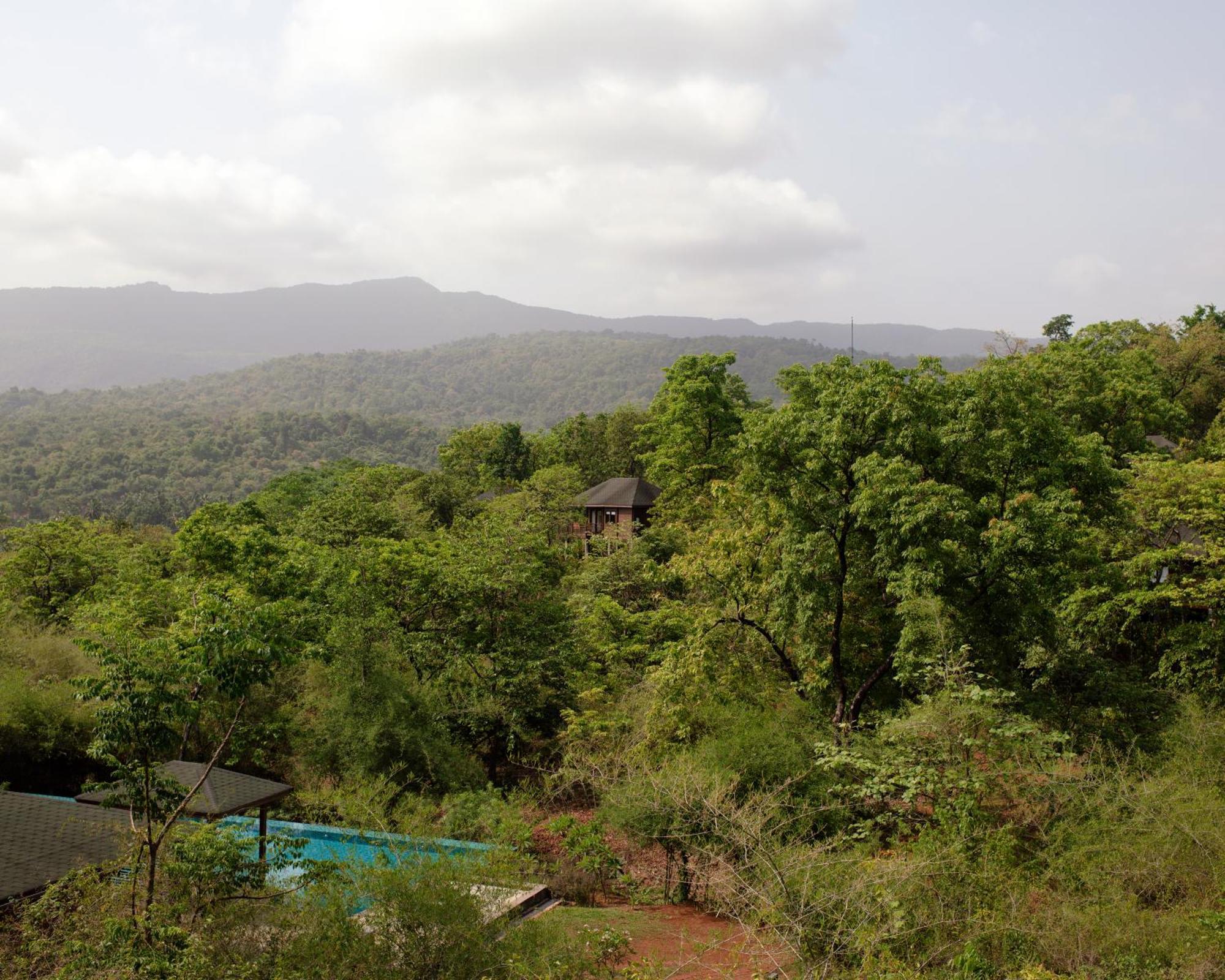 The Postcard Hideaway, Netravali Wildlife Sanctuary, Goa Hotell Vichondrem Eksteriør bilde