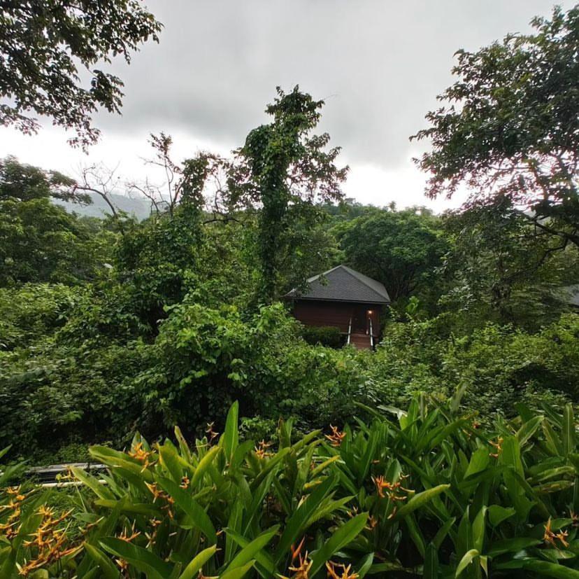 The Postcard Hideaway, Netravali Wildlife Sanctuary, Goa Hotell Vichondrem Eksteriør bilde