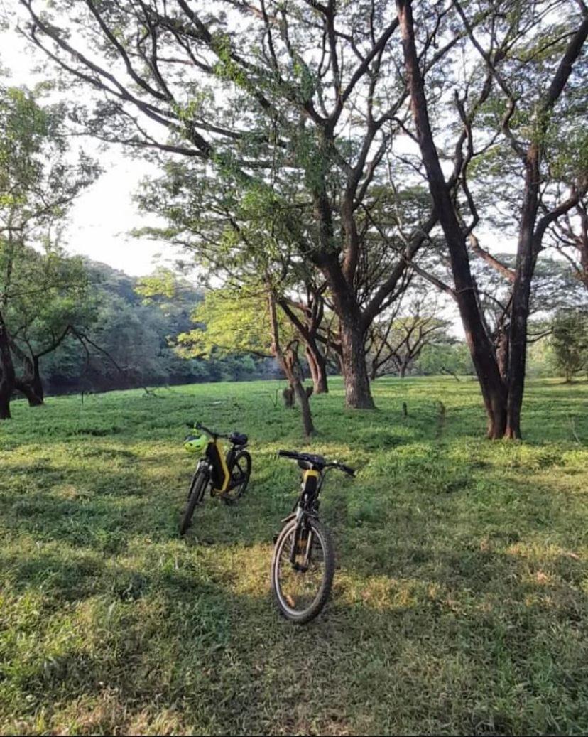 The Postcard Hideaway, Netravali Wildlife Sanctuary, Goa Hotell Vichondrem Eksteriør bilde